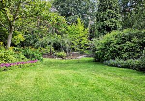 Optimiser l'expérience du jardin à Ottrott